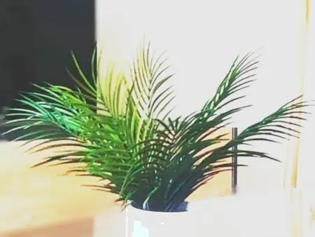 Appartement rénové avec Wi-Fi, centre historique de Séville - Photo 6