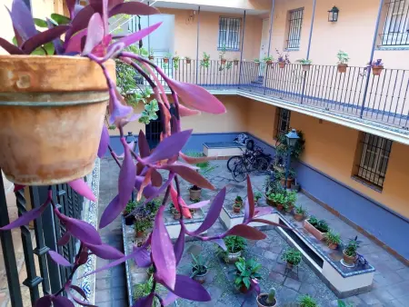 Duplex élégant à San Bernardo avec parking, proche centre-ville - Photo 21