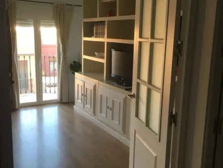 Appartement lumineux Triana avec terrasse privée - Photo 4
