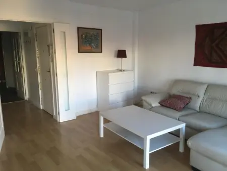 Appartement lumineux Triana avec terrasse privée - Photo 5
