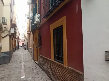 Duplex avec Terrasse Privée au Cœur de Séville - Photo 24