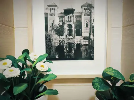 Bel appartement dans centre historique de Séville - Photo 6