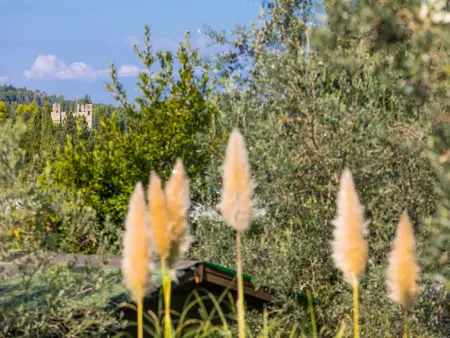 Al Canaiolo, Maison 8 personnes à Greve in Chianti - Photo 45