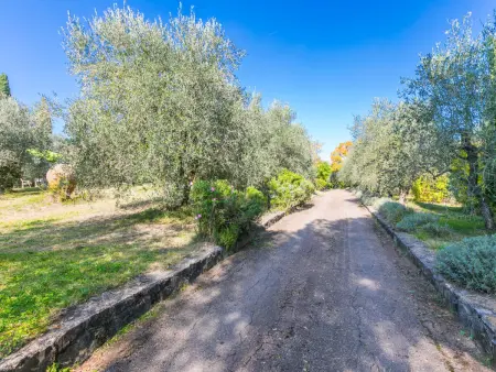 Al Canaiolo, Maison 8 personnes à Greve in Chianti - Photo 46