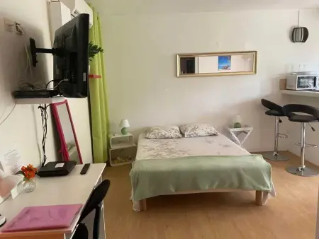 Studio confortable à Les Trois-Îlets, 25 m² avec terrasse - Photo 1