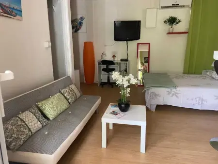 Studio confortable à Les Trois-Îlets, 25 m² avec terrasse - Photo 3