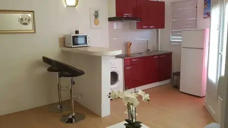 Studio confortable à Les Trois-Îlets, 25 m² avec terrasse - Photo 6