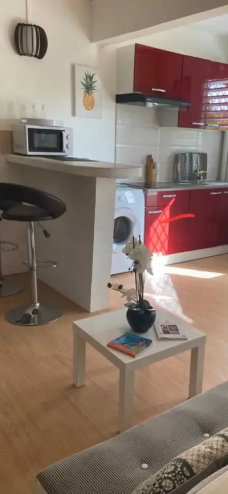 Studio confortable à Les Trois-Îlets, 25 m² avec terrasse - Photo 8