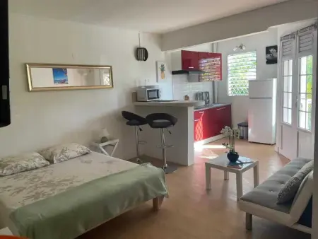 Studio confortable à Les Trois-Îlets, 25 m² avec terrasse - Photo 16
