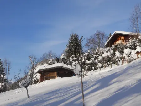 Chalet neuf pour 6 pers, animaux et parking, Chalet 6 personnes à Arâches la Frasse - Photo 10