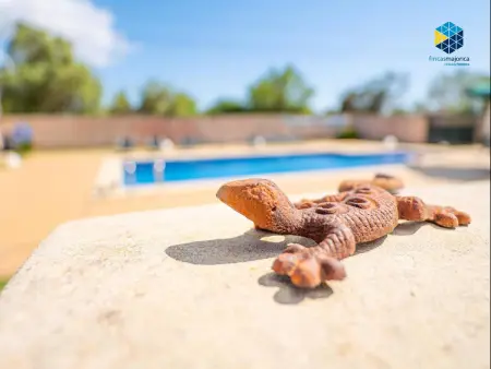 Maison familiale à Llucmajor avec piscine et jacuzzi - Photo 28