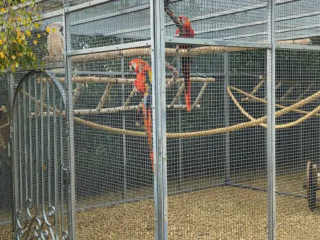 Gîte chaleureux pour 4 pers avec piscine chauffée et bien-être - Photo 33
