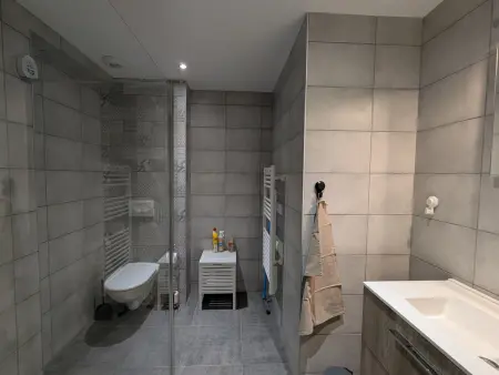 Appartement cocooning au cœur des Hautes-Vosges avec terrasse et parking privé - Photo 3