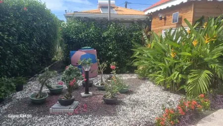Bungalow accueillant à Bouillante avec piscine privée - Photo 20