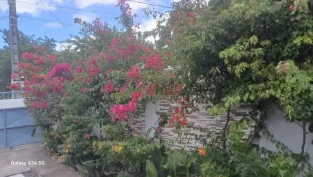 Bungalow accueillant à Bouillante avec piscine privée - Photo 34