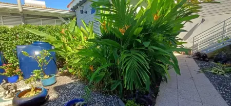 Bungalow accueillant à Bouillante avec piscine privée - Photo 52