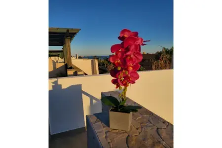 CT 346 AL - Faro's Penthouse  Private Pool - Vera Playa, Appartement à Vera, à quelques pas de la plage - Photo 38