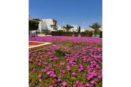 CT 369 AL - Faro's Apartmento Naturista - Primera Linea Vera Playa, Escapade parfaite à Vera : Apt à Natura World - Photo 32