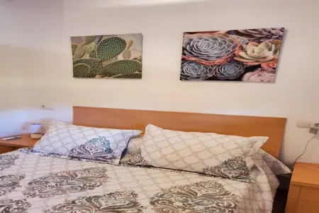 CT 347 AL - Faro's Gardenapartment - Valle del Este, Charmant appartement avec jardin à Almeria - Photo 19