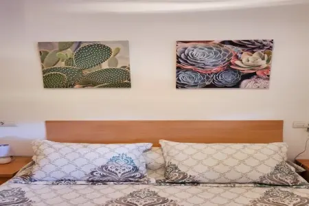 CT 347 AL - Faro's Gardenapartment - Valle del Este, Charmant appartement avec jardin à Almeria - Photo 49