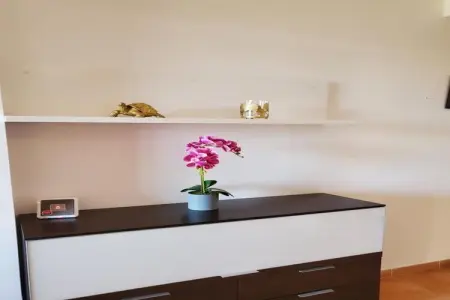 CT 347 AL - Faro's Gardenapartment - Valle del Este, Charmant appartement avec jardin à Almeria - Photo 50