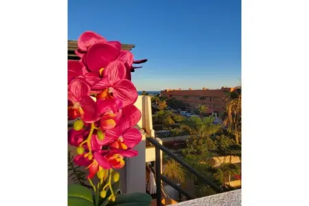 CT 351 AL - Faro's Atico Duplex con piscina privada - Vera Playa, Appartement avec piscine près de la côte d'Almería - Photo 46
