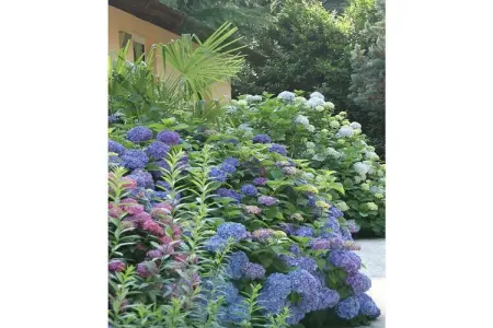 40131, Villa à Campo Mezzola avec piscine - Photo 21