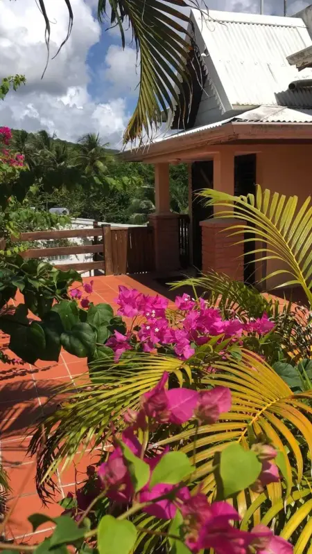 Studio confortable vue jardin au Diamant, 25 m² - Photo 2