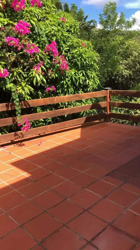 Studio confortable vue jardin au Diamant, 25 m² - Photo 5