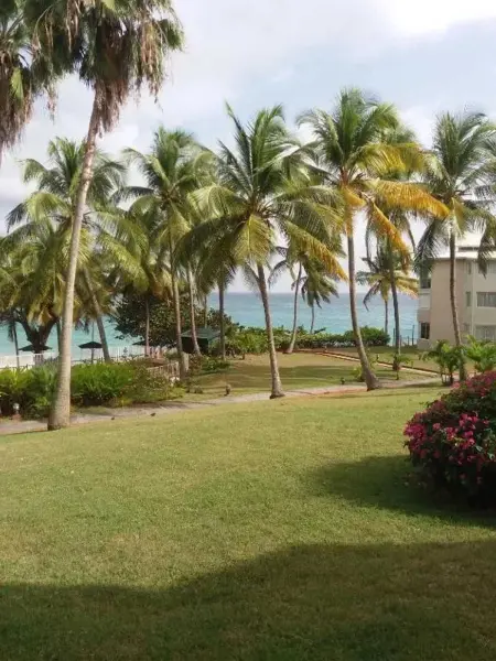 Studio accueillant avec vue mer à Le Gosier, Appartement 2 personnes à Le Gosier - Photo 17