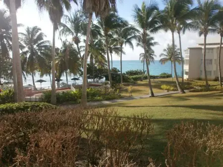 Studio accueillant avec vue mer à Le Gosier, Appartement 2 personnes à Le Gosier - Photo 19