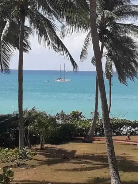 Studio accueillant avec vue mer à Le Gosier, Appartement 2 personnes à Le Gosier - Photo 20