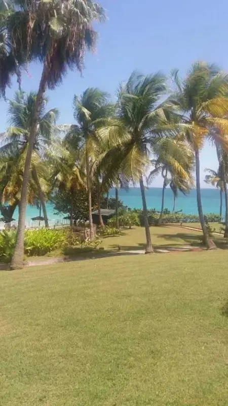 Studio accueillant avec vue mer à Le Gosier, Appartement 2 personnes à Le Gosier - Photo 21