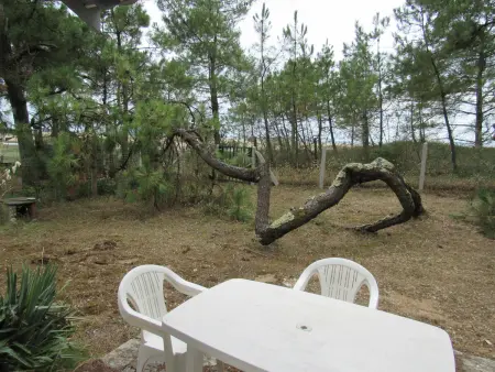 Maison rénovée proche océan, animaux admis, wifi, parking - Photo 7