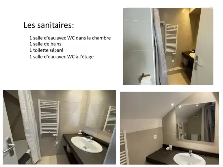 Gourette: Duplex 10 pers, Piscine, Animaux admis - Photo 11