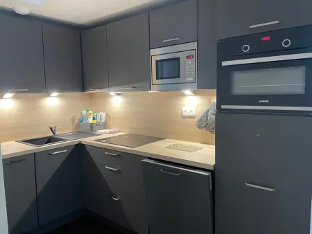 Appartement avec piscine à Gourette, 6 pers, 49m² - Photo 5