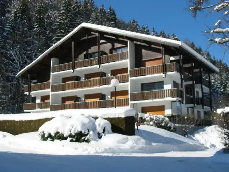 Charmant appartement à Morzine pour 4 personnes avec parking - Photo 14