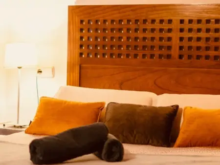 Maison charmante avec 1 chambre et piscine à Grenade - Photo 17
