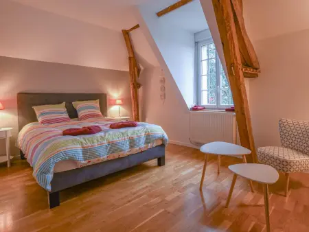 Grande maison en Seine-et-Marne avec jacuzzi, espace jeux et acceptant animaux - Photo 4