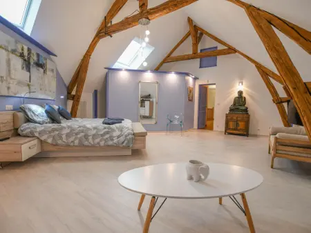 Grande maison en Seine-et-Marne avec jacuzzi, espace jeux et acceptant animaux - Photo 14