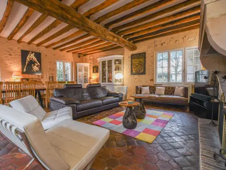 Grande maison en Seine-et-Marne avec jacuzzi, espace jeux et acceptant animaux - Photo 19