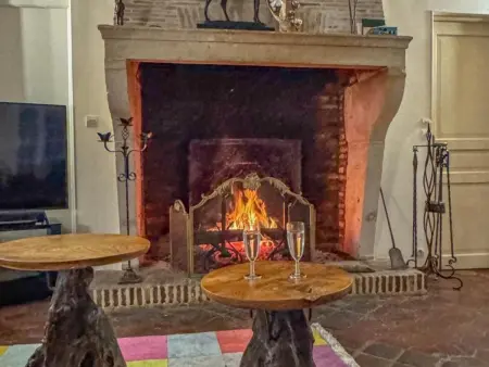 Grande maison en Seine-et-Marne avec jacuzzi, espace jeux et acceptant animaux - Photo 23