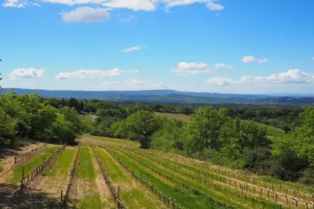 Doppelhaushälfte in Bédoin, Maison en Provence près du Mont Ventoux - Photo 16