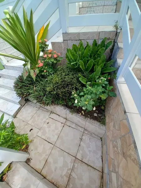 Appartement cosy à Deshaies avec balcon - 35 m² - Photo 3