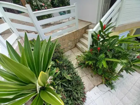 Appartement cosy à Deshaies avec balcon - 35 m² - Photo 15