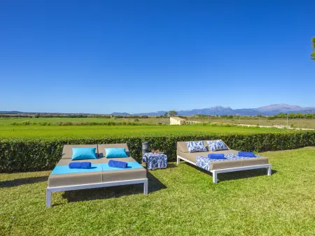 Villa récente avec piscine privée à Can Picafort, vue jardin - Photo 18