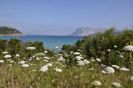 Le Villette di San Gavino PT1, Appartement en bord de mer près de Budoni - Photo 19