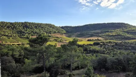 La Garrigue, La Garrigue, Belle maison avec piscine - Photo 16