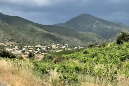La Garrigue, La Garrigue, Belle maison avec piscine - Photo 20