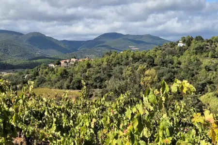 La Garrigue, La Garrigue, Belle maison avec piscine - Photo 23